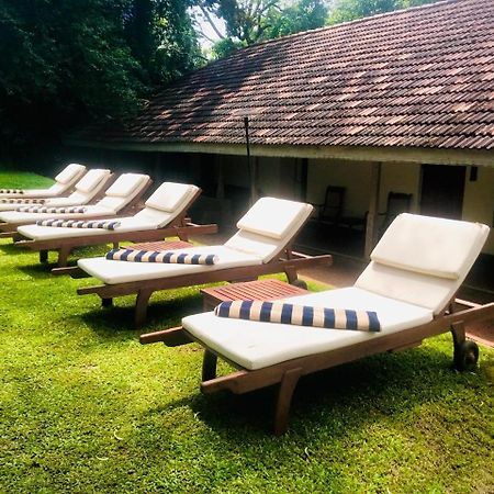 Hotel Ekho Sigiriya Exteriér fotografie
