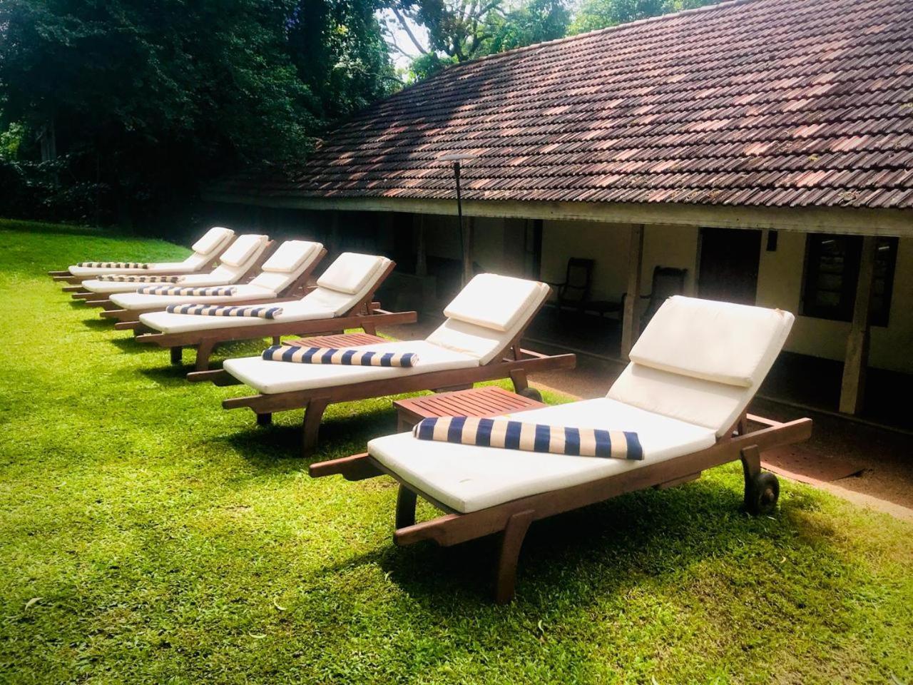 Hotel Ekho Sigiriya Exteriér fotografie
