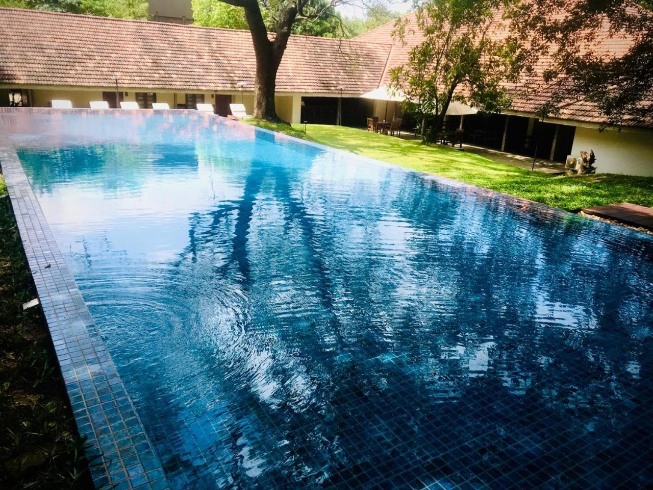 Hotel Ekho Sigiriya Exteriér fotografie