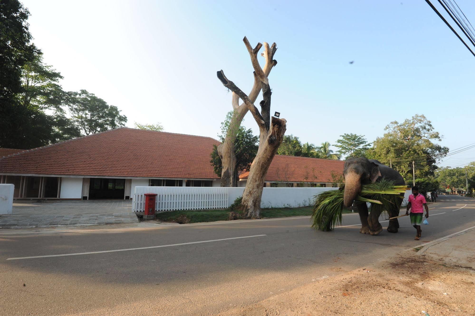 Hotel Ekho Sigiriya Exteriér fotografie